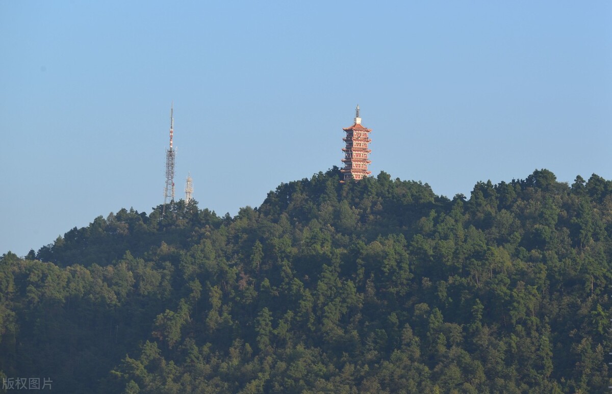 深圳往事1993,深圳往事的故事