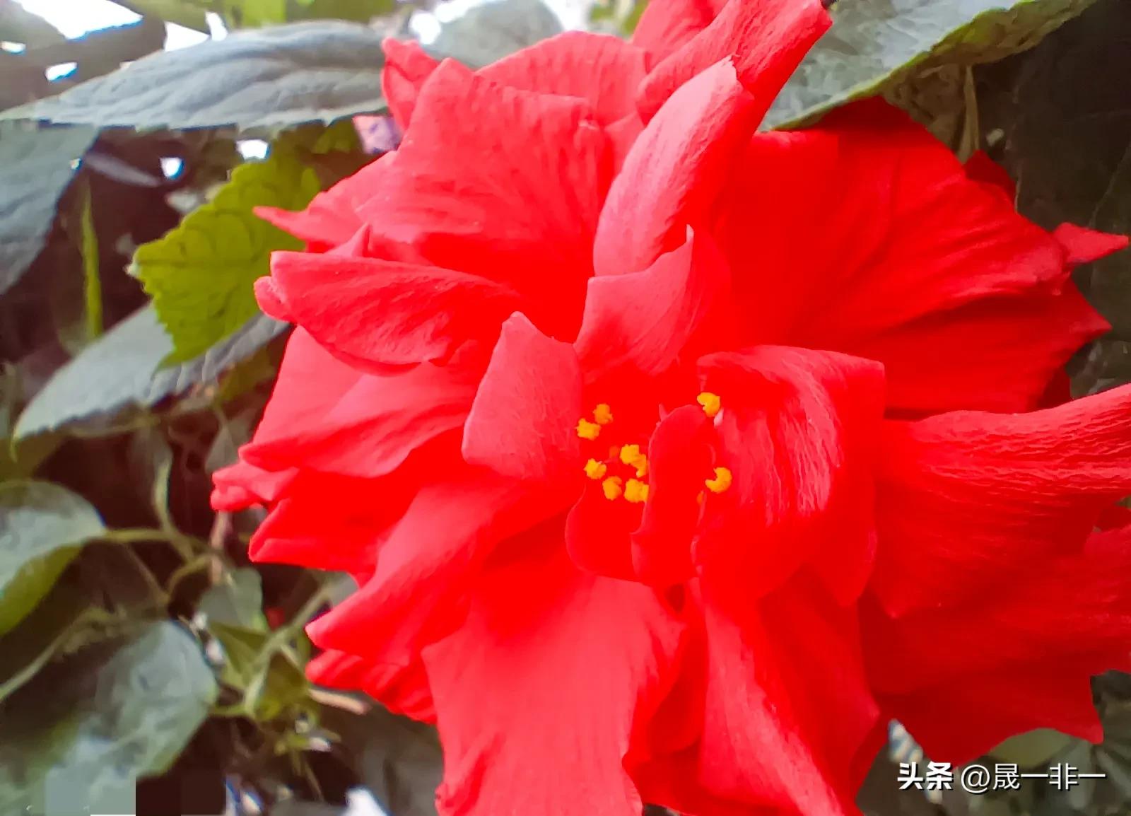 澶у涵骞夸紬鍋烽挶鍖呯數瑙嗗墽,澶у涵骞夸紬涔嬩笅鍋锋媺鏉嗙