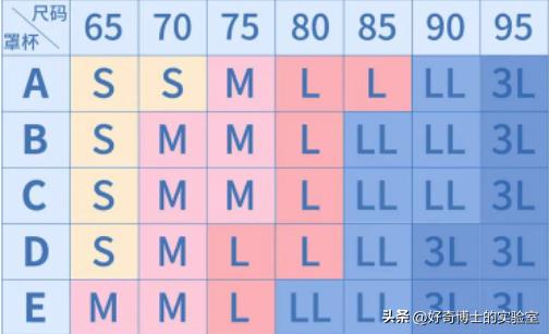 胸大运动怎么防震动,女生运动时胸部跳跃怎么办