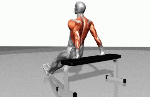 健身龙的训练方法,健身滑板垫的训练方法