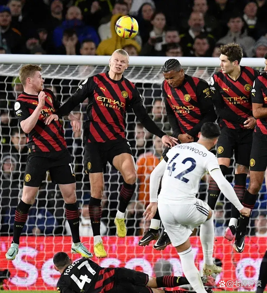 两大神兽对阵机械哥斯拉,两个神兽大战视频