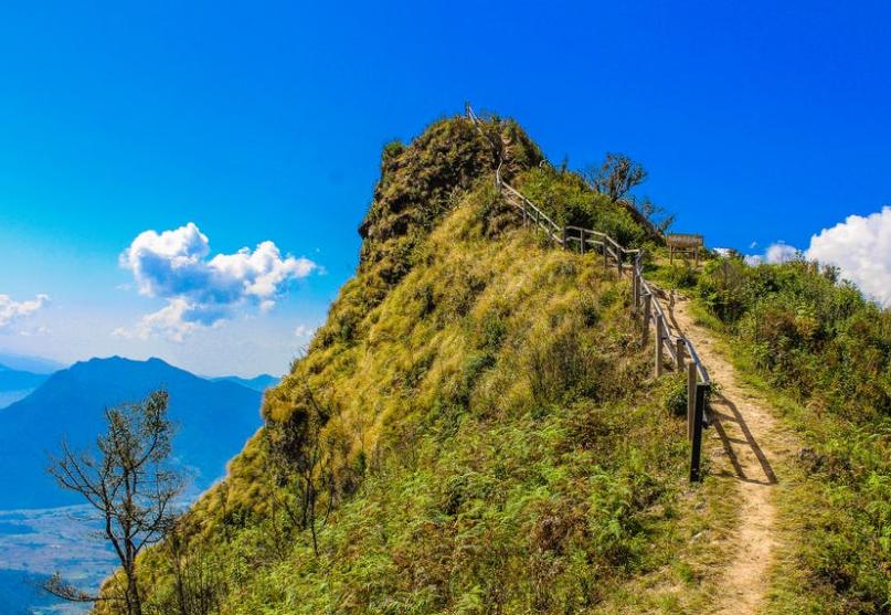 本体论精神分析/你长大后想成为什么样的人,上）