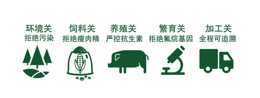 世界杯期间卡塔尔吃喝玩乐攻略,卡塔尔世界杯球迷餐