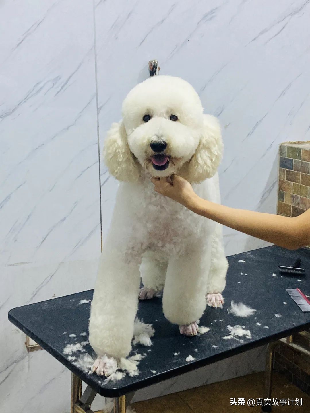 在家啃老不工作嫌工资少,在家啃老不出门的下场