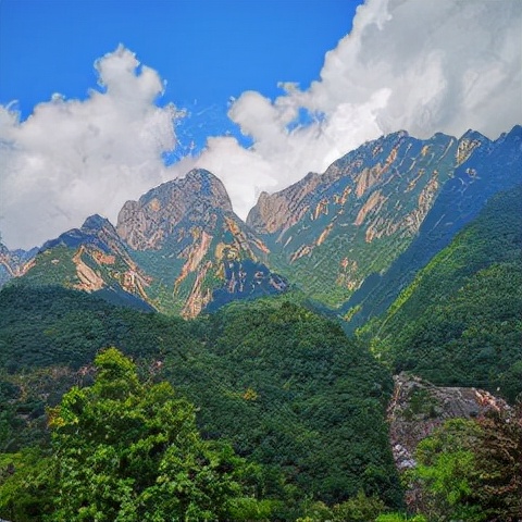 高铁到黄山北后有哪些景点,黄山北站到黄山风景区旅游攻略