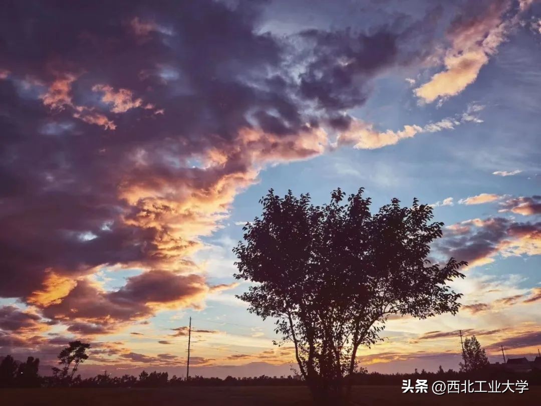 今日雨水!工大四季高清美图，欢迎欣赏使用~