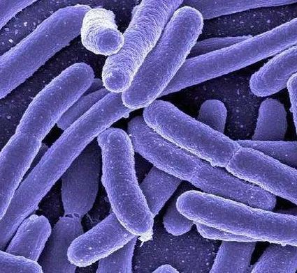 干货满满建议收藏,满满的干货收藏起来