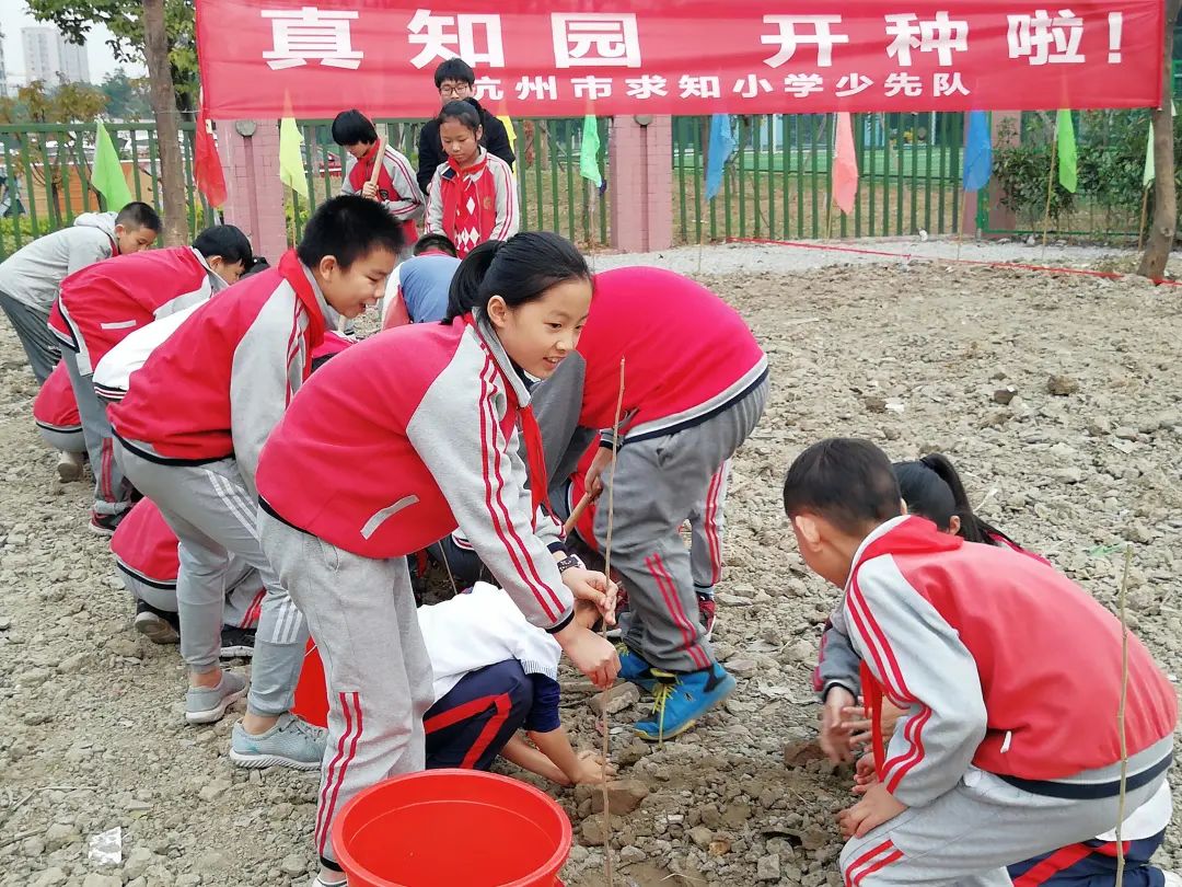 儿童友好学校案例|小学篇:学军小学之江校区、求知小学、丹枫