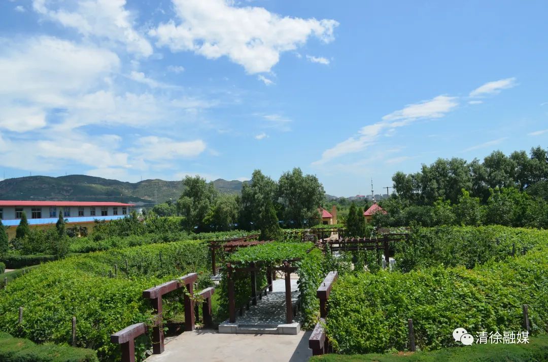 太原清徐县最好的地方,清徐有啥逛的地方