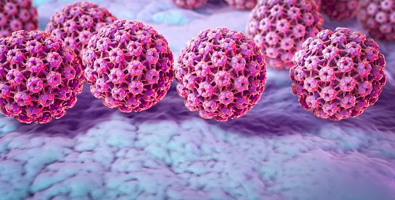 女性hpv十大常识,女性hpv常识大全