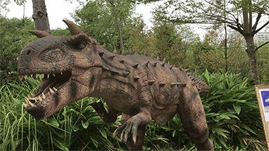 香草伊甸园景区最佳花开期,转发此文