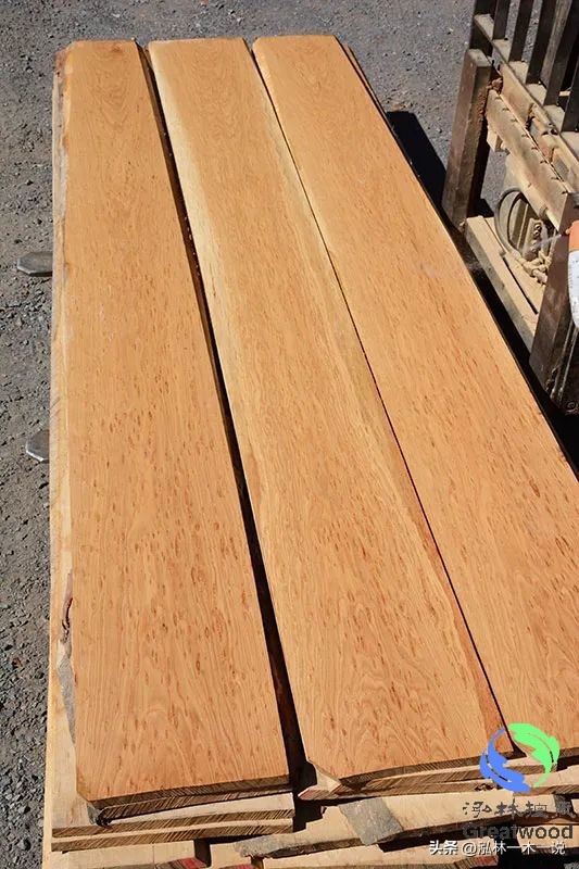 欧洲贵妇出轨被发现,欧洲白富美