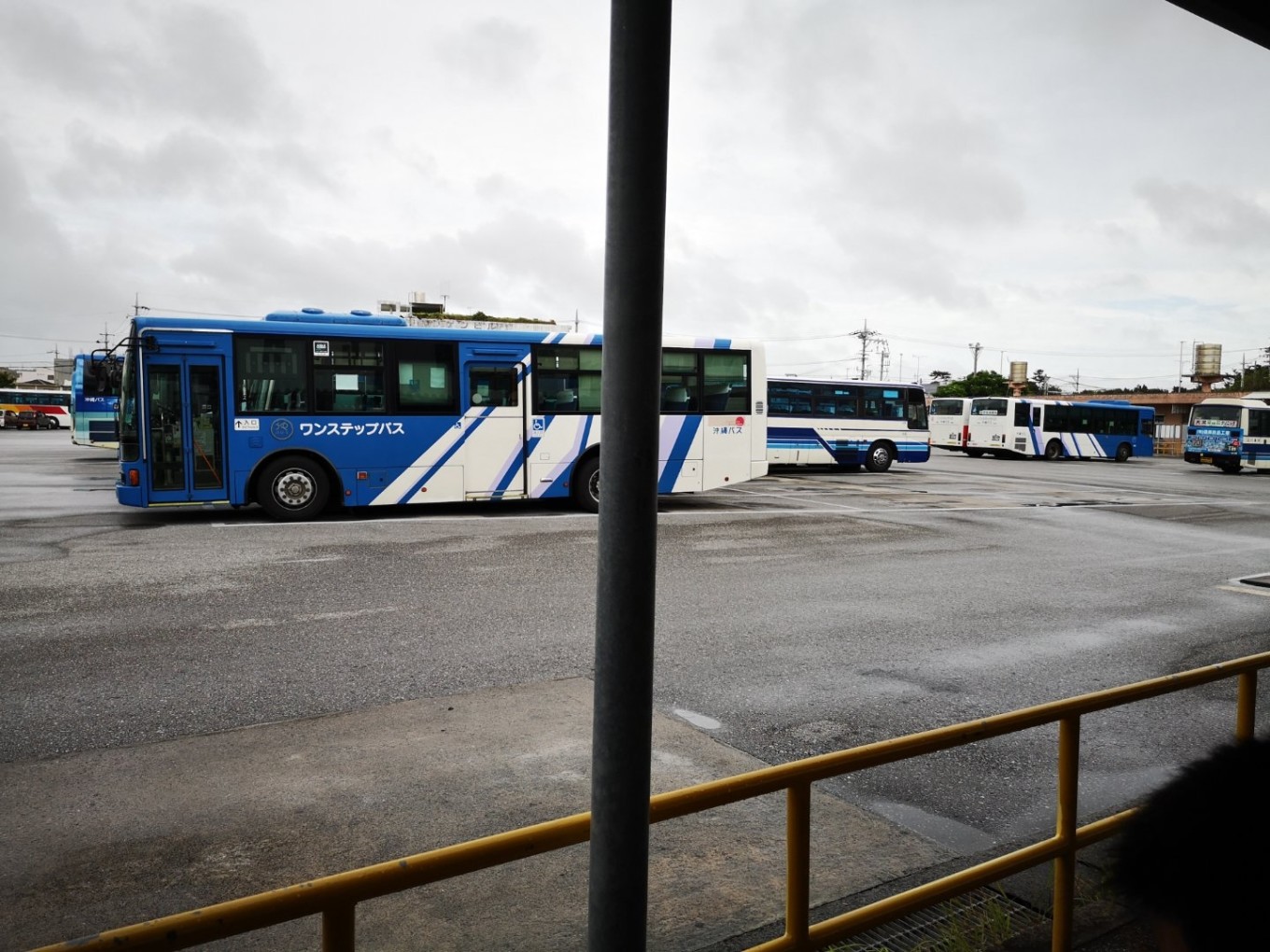 暑期档2019年,2019年暑期档