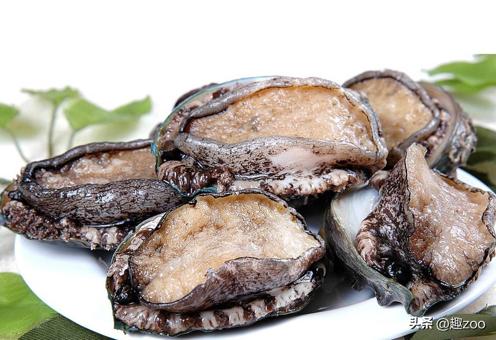 中国海鲜十大排行榜,中国海鲜产品品牌前十名