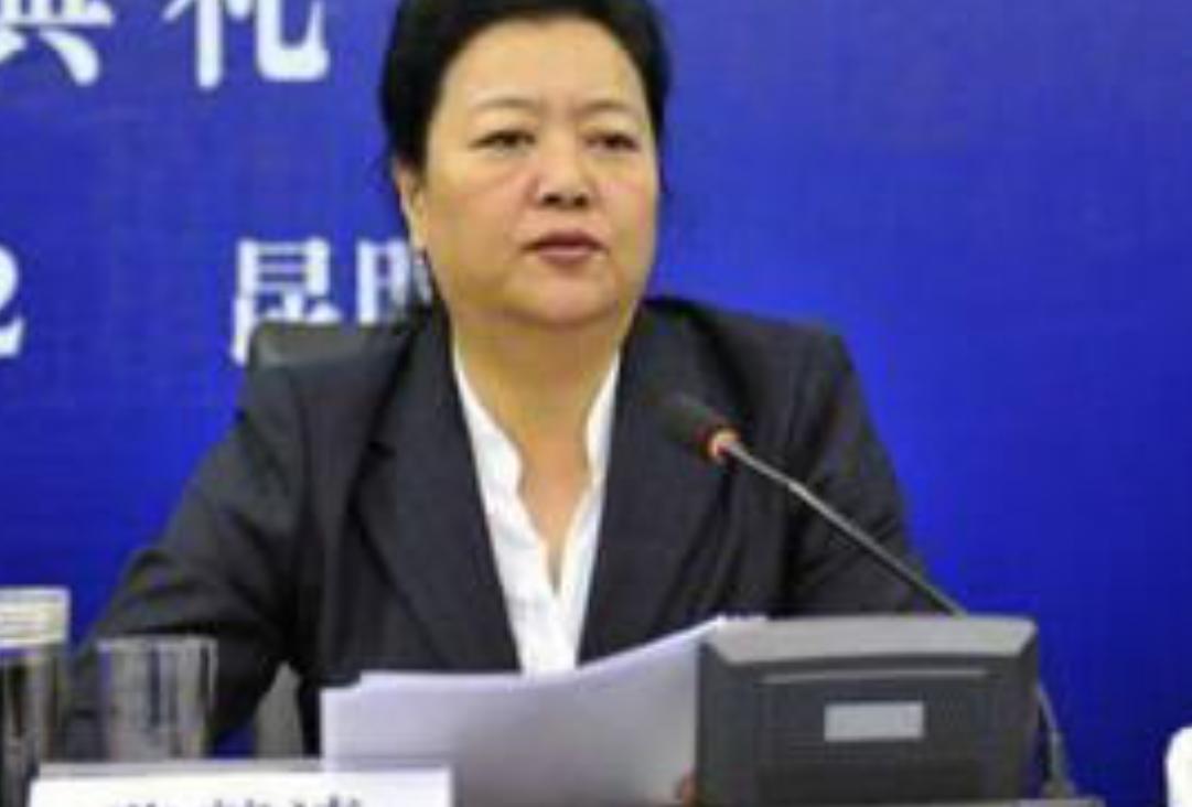 云南省土皇帝白恩培，凭借职位大肆敛财，最终落得终生监禁的下场