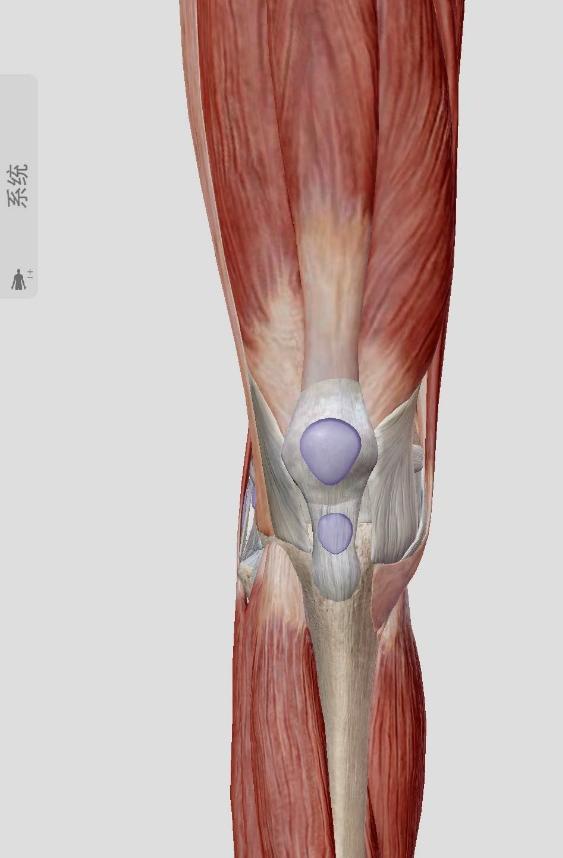 骨刺骨质增生挂什么科,骨刺骨质增生图片大全