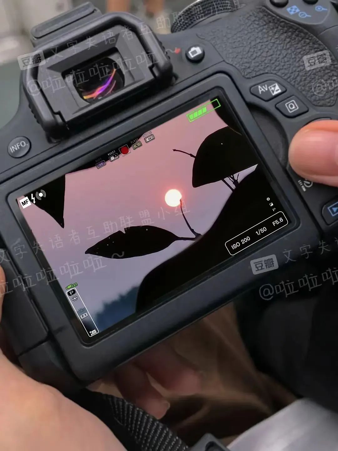 好文案英语,豆瓣上的文案