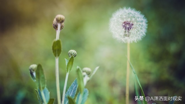丈夫发现妻子出轨最好的处理方法,妻子出轨丈夫的正确处理方法