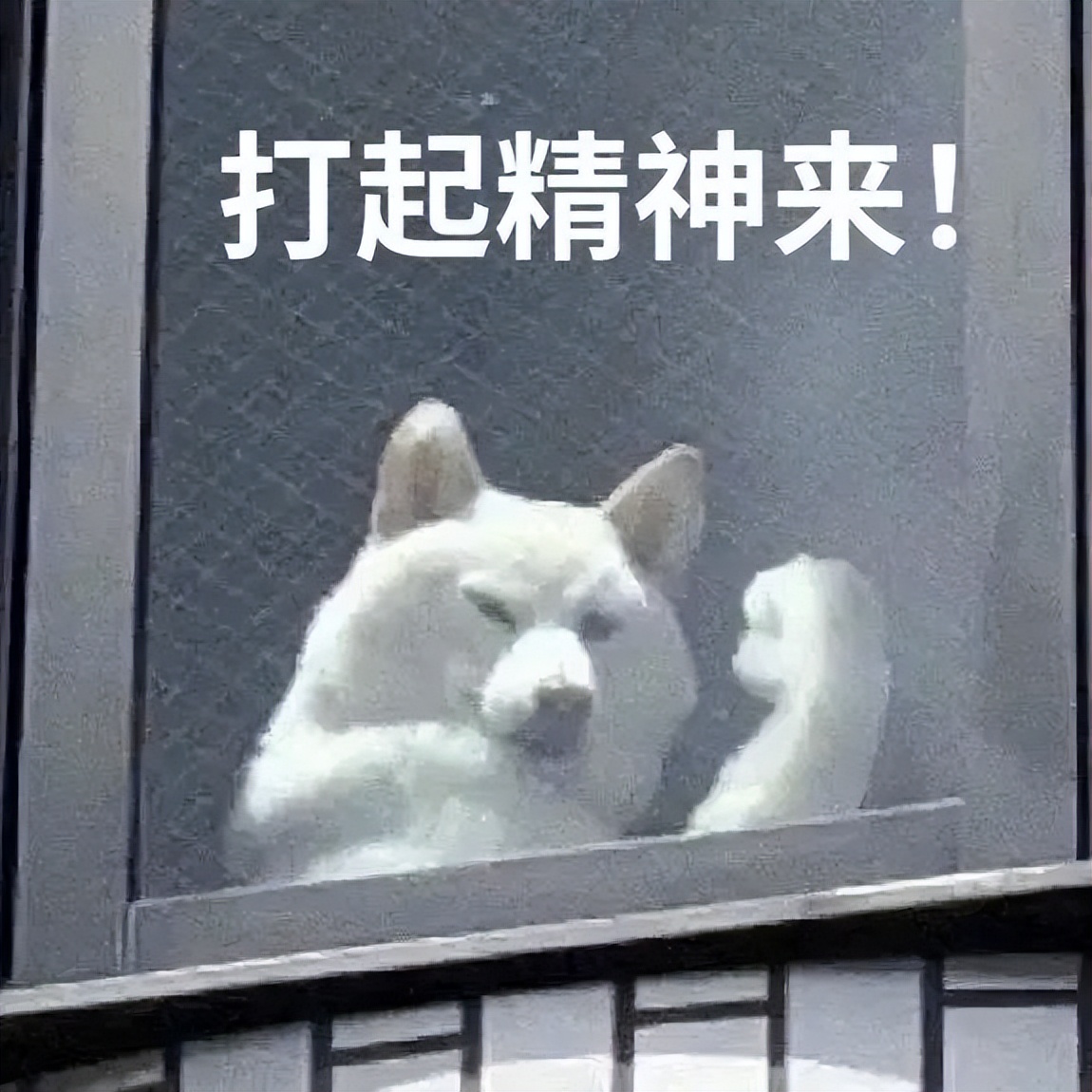 花了7400元买的gucci,花4000买gucci发夹