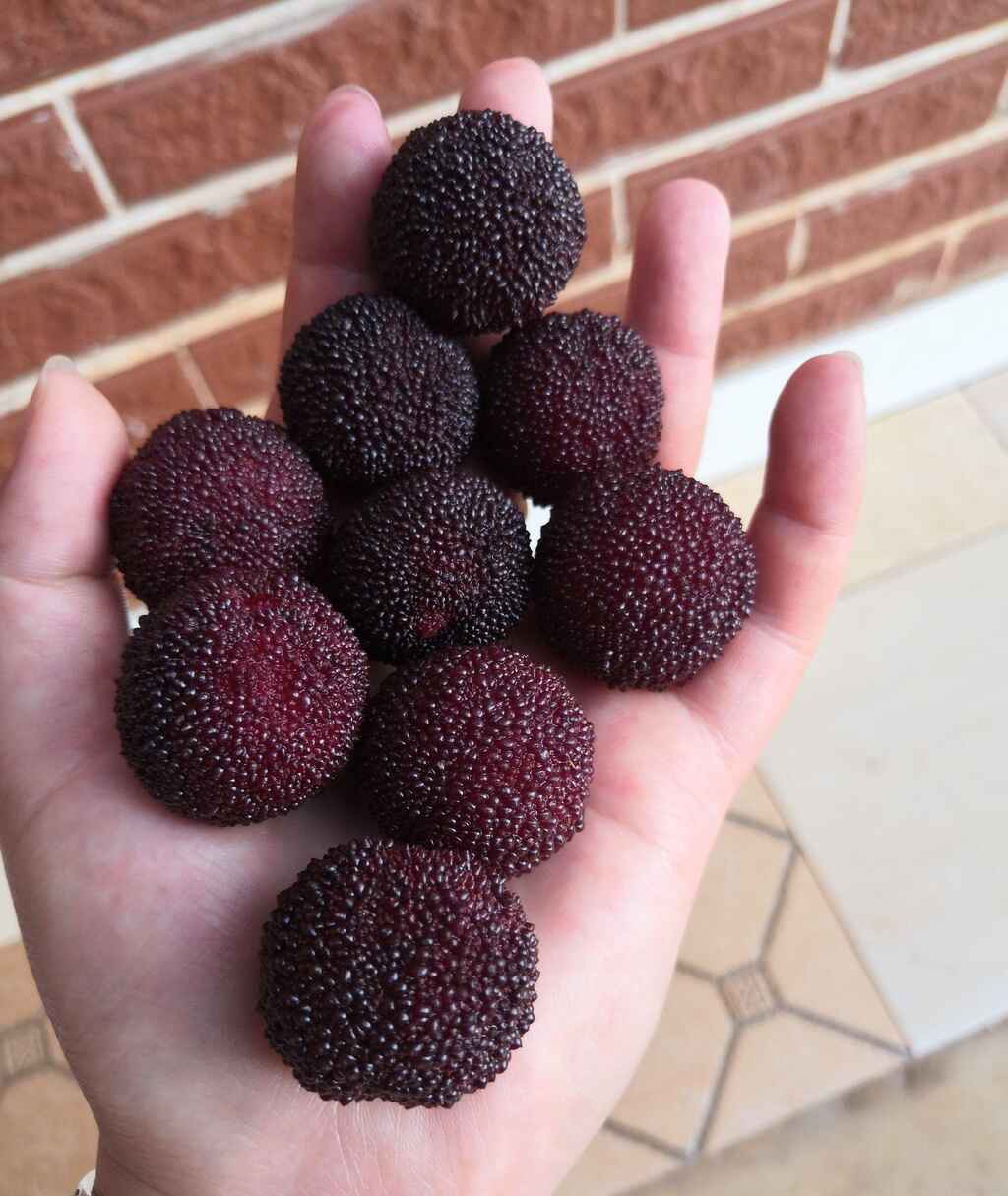 我的知乎首答，献给我大云南