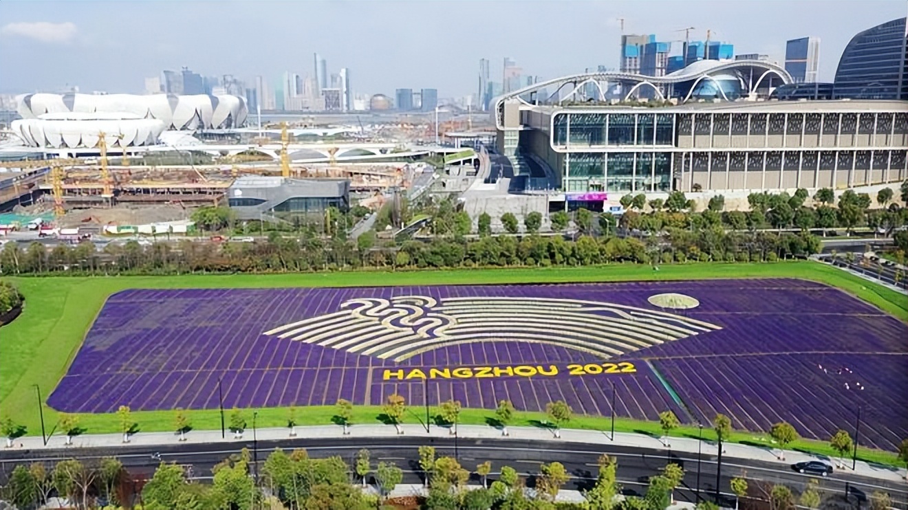 四项赛事接连延期或取消,“大冤种”们都默默承担了哪些损失?