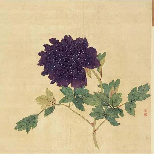 蒋廷锡牡丹画法,蒋廷锡百种牡丹画法