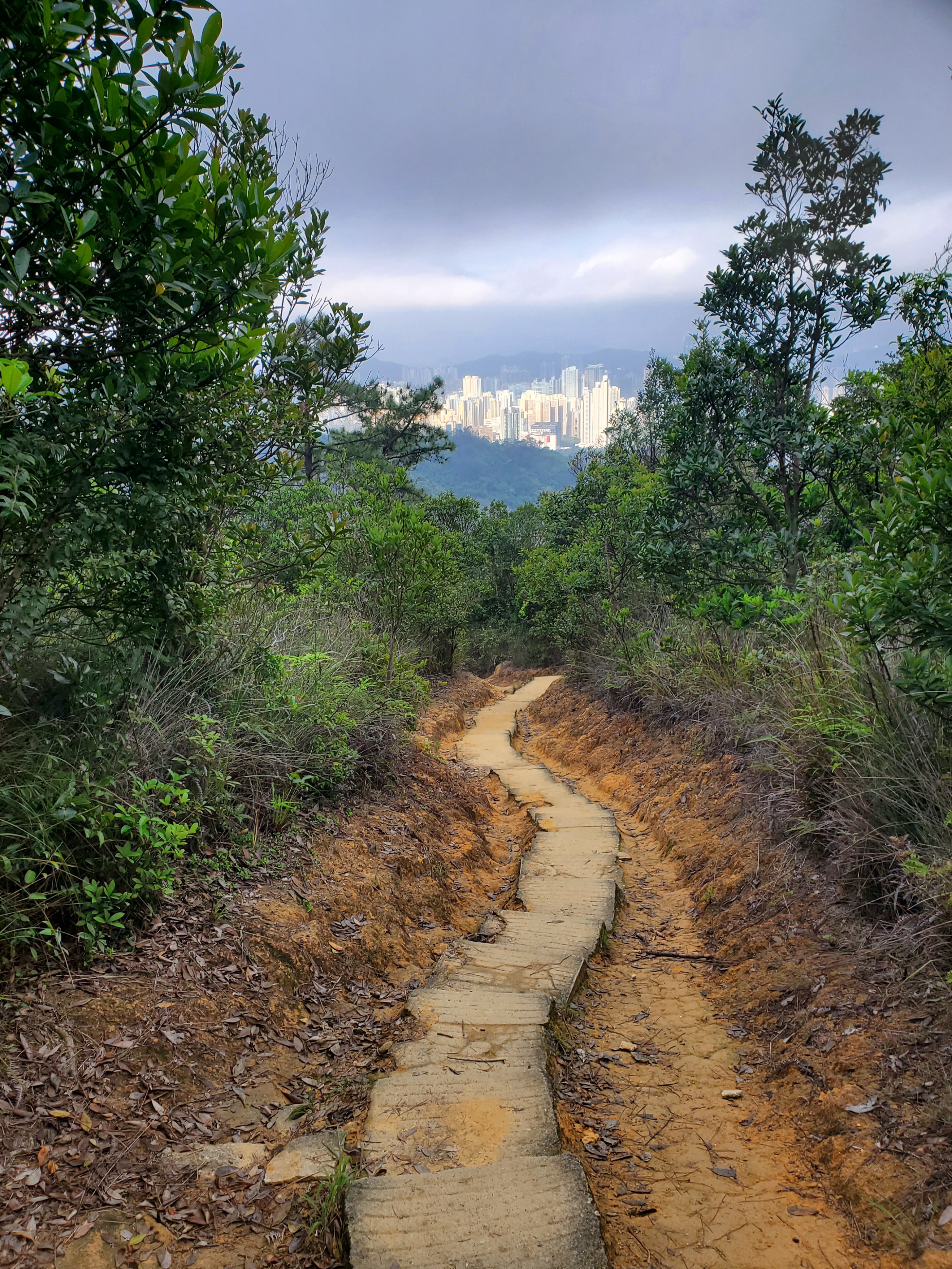 徒步香港大帽山,香港麦径徒步攻略