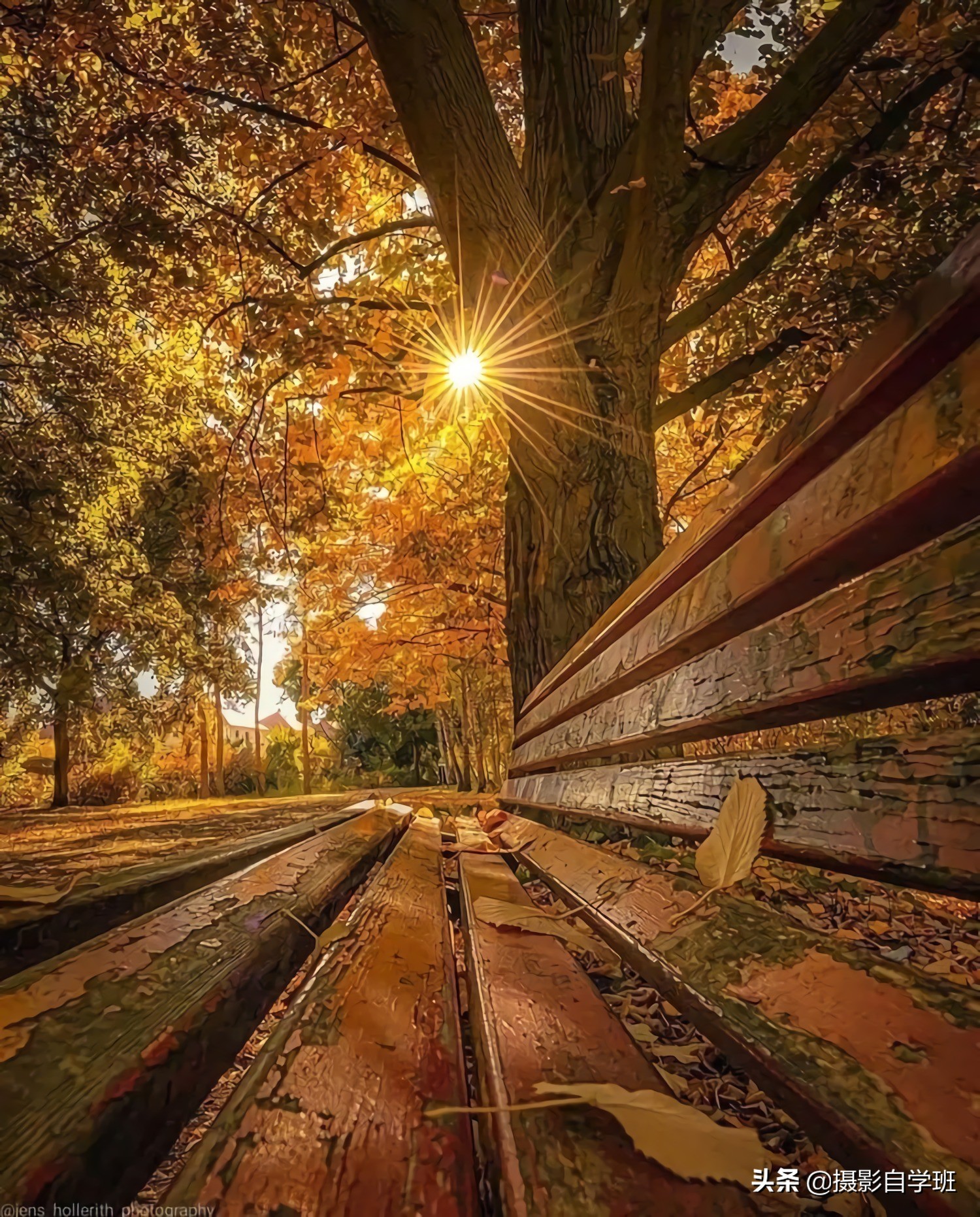 摄影入门教你轻松拍大片,摄影初学学会这几招就能拍美照