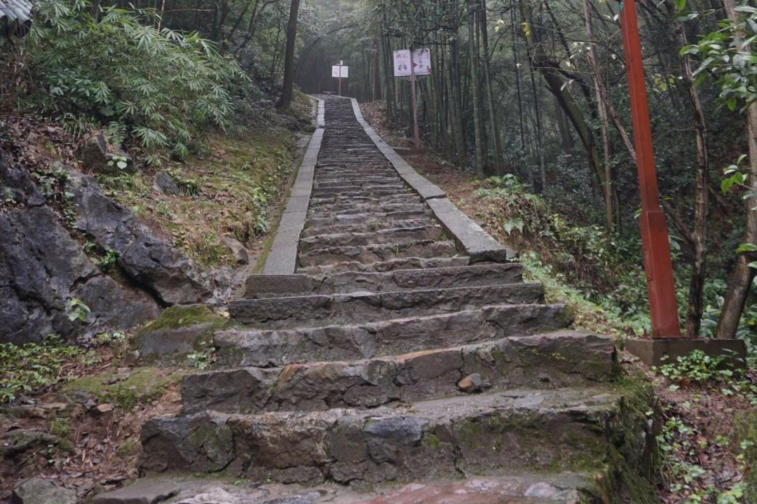 王一梅两次扣晕日本名将,王一梅巅峰发球