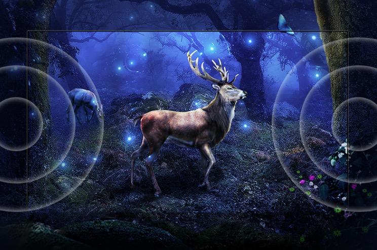 tcl55v6和55v69e哪个好,tcl55v6e和55n7e的区别