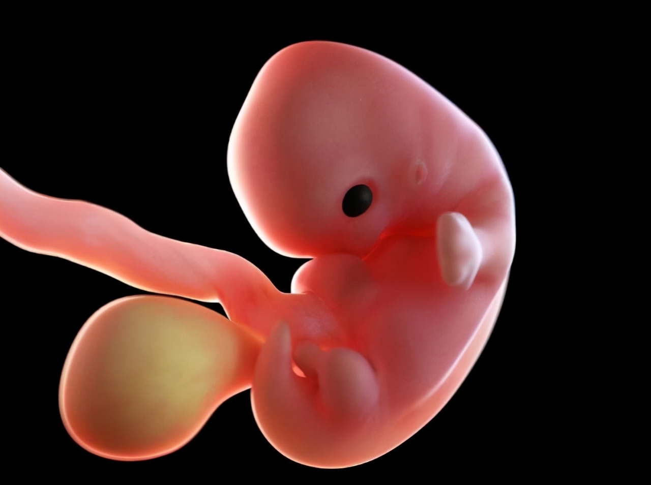 孕期准备宝宝用品清单,孕期注意事项和饮食禁忌清单