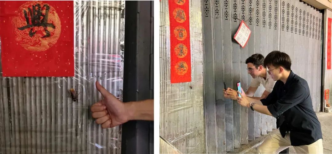 我去体验了2天澳门风云！给大家分享点不输钱的策略……