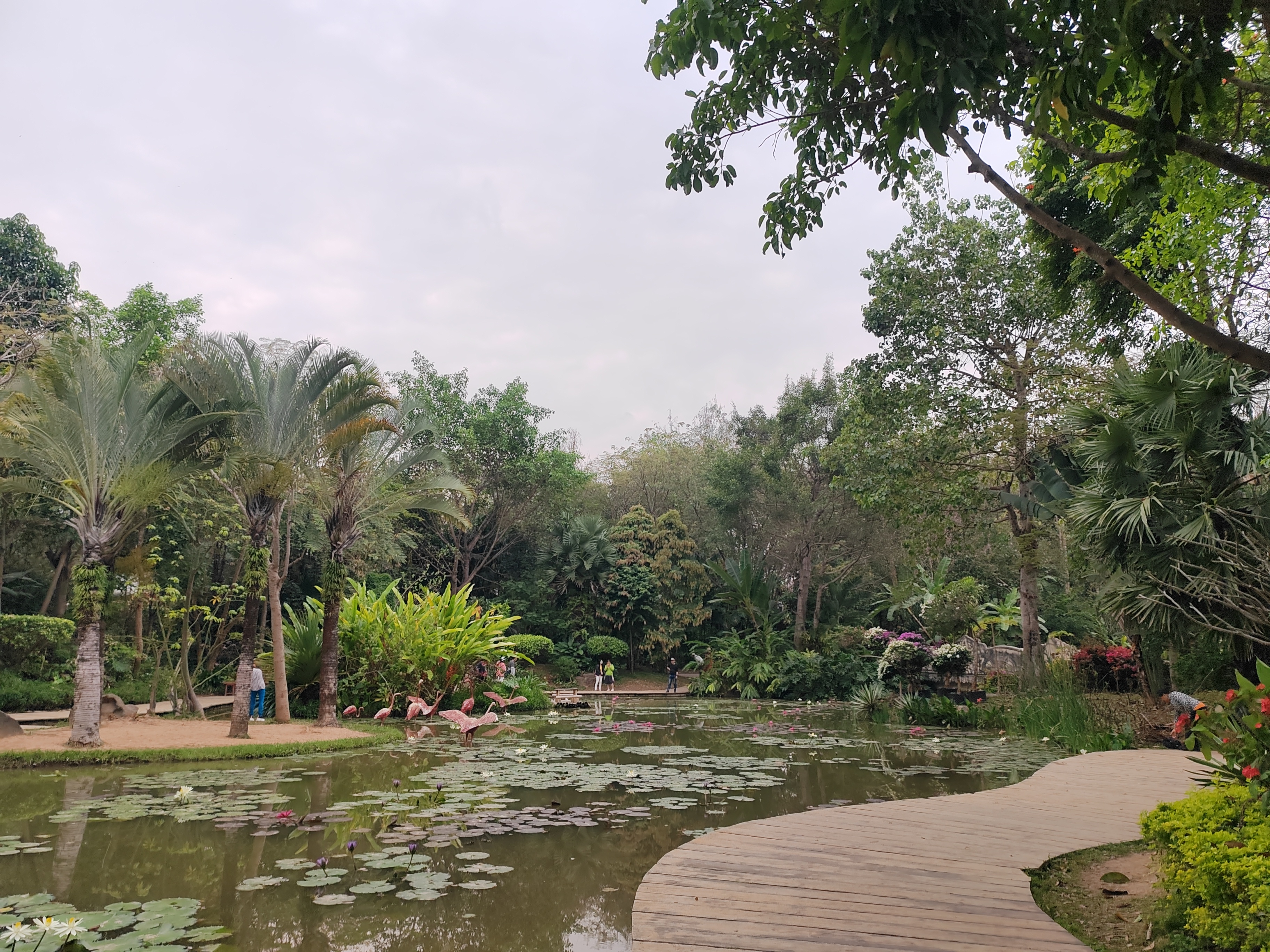 西双版纳曼听园攻略,云南西双版纳打卡曼听公园