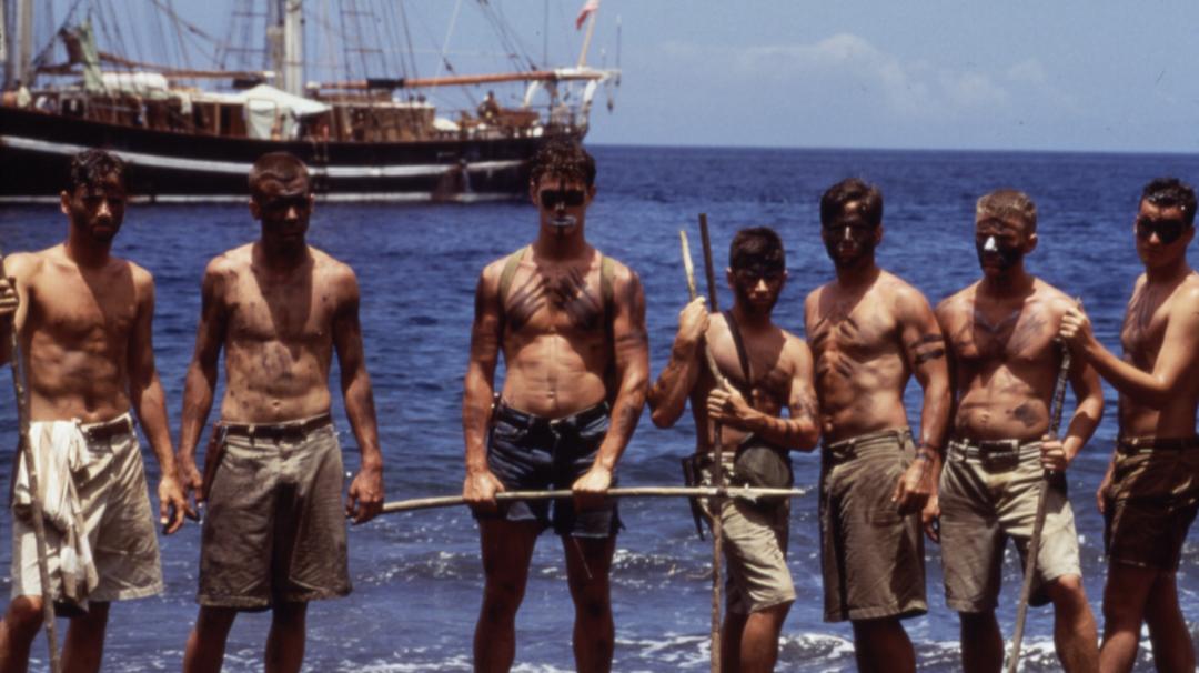 别关电视！电影音乐晚会过后，12部佳片即将放送