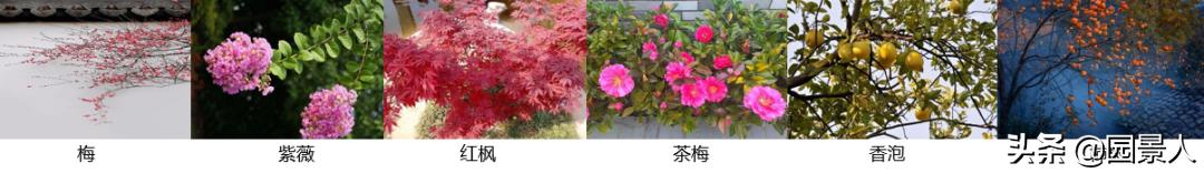 标杆房企园林景观工序,最新热销地产项目景观设计全解密