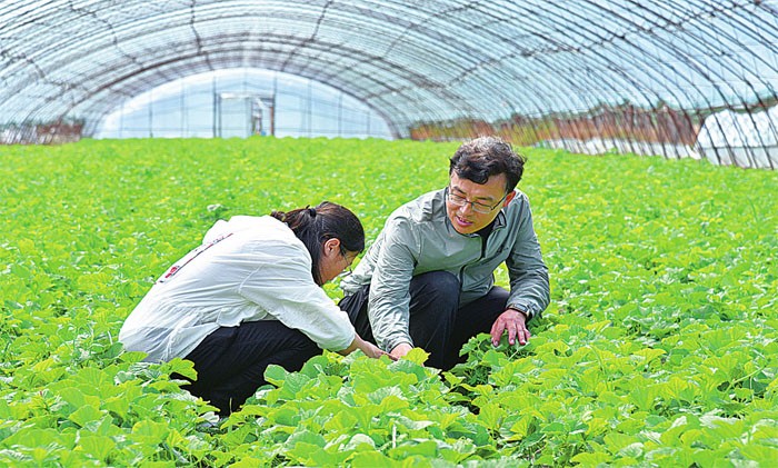 未来比较吃香但是没人做的行业,未来打工十年最具前景的行业
