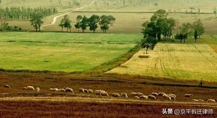 地被征了农民社保谁来负责,被征地农民社保政策被禁止了吗