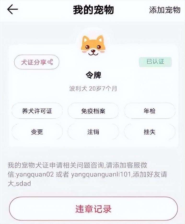 犬只年检流程,狗年检流程