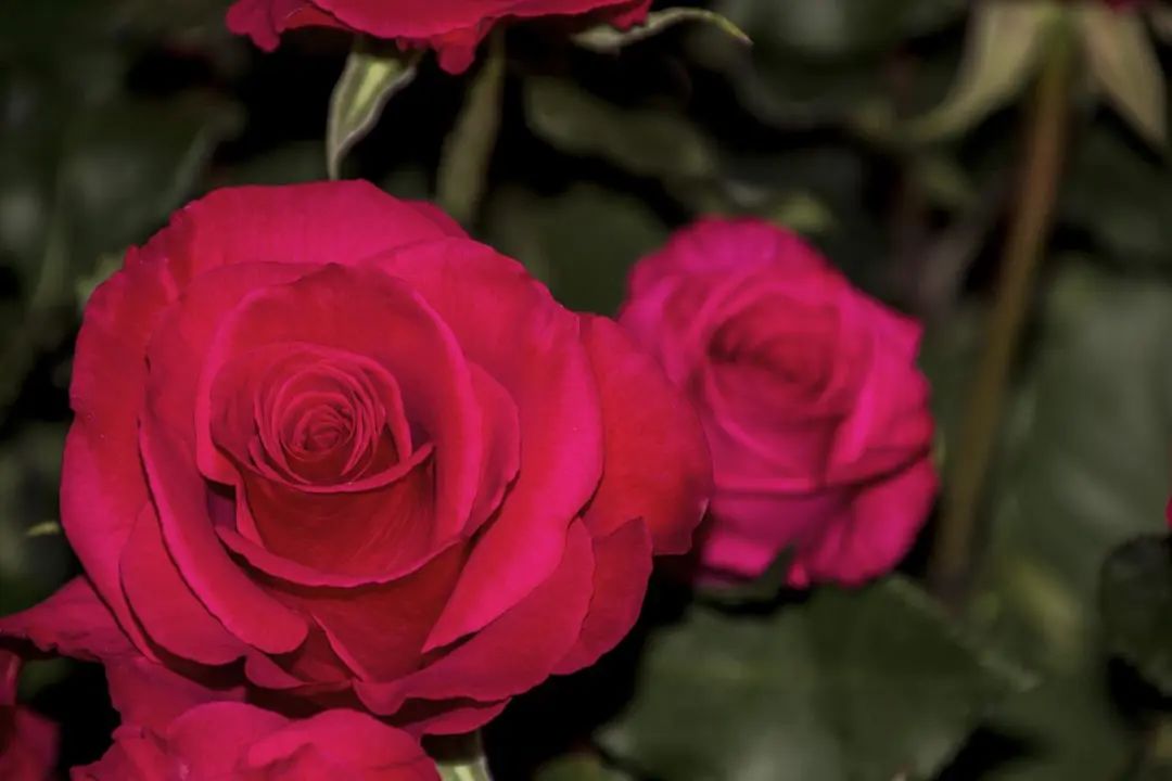 周一不会高开低走吧？（4.18研报策略）