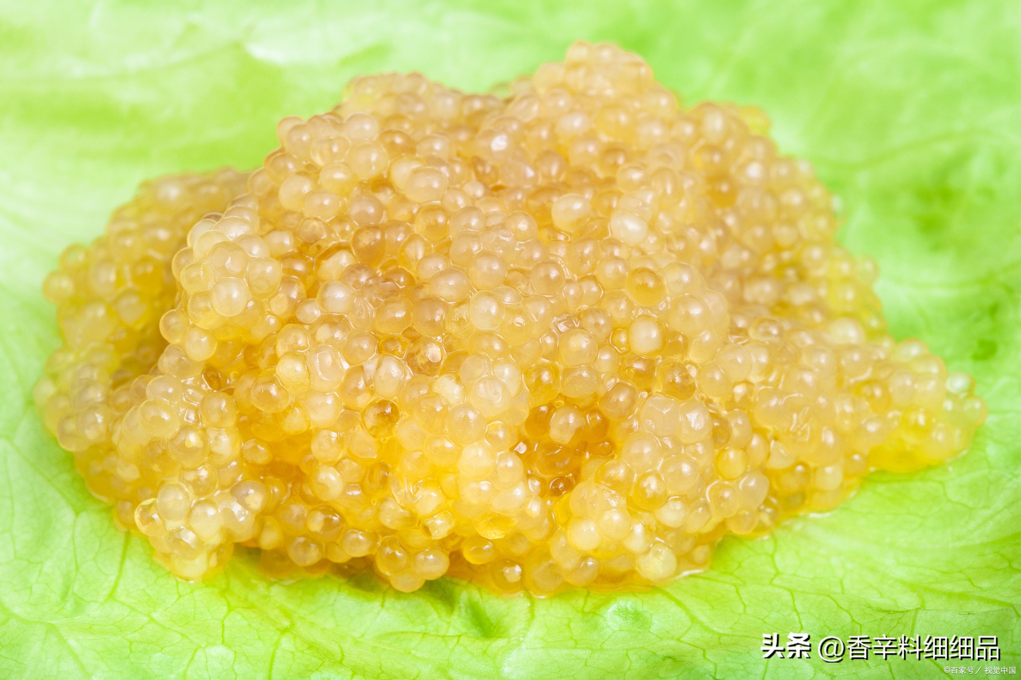 鱼籽怎么做才好吃家常做法,干锅鱼籽的超美味做法