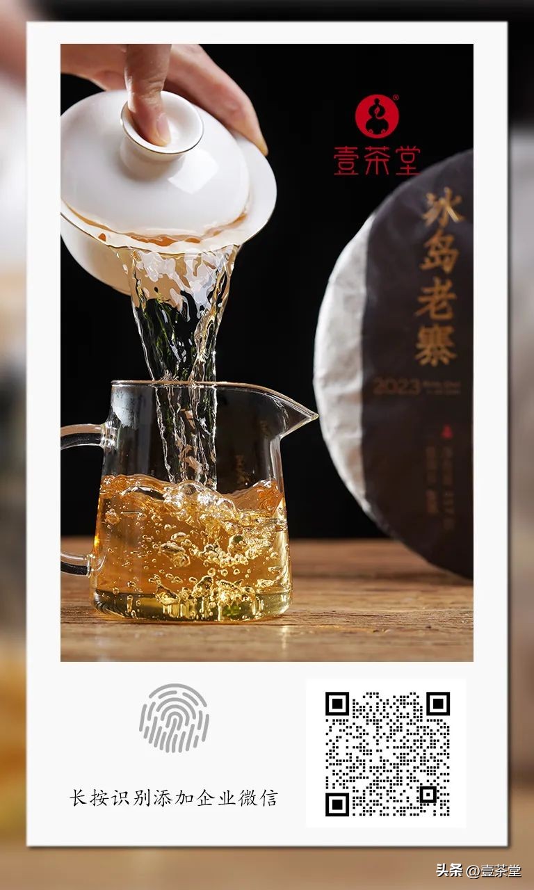 云南茶叶种类名优茶,云南四大茶区特点及茶类