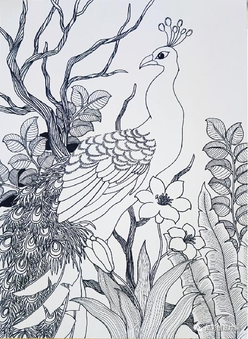 孔雀,孔雀王漫画全集