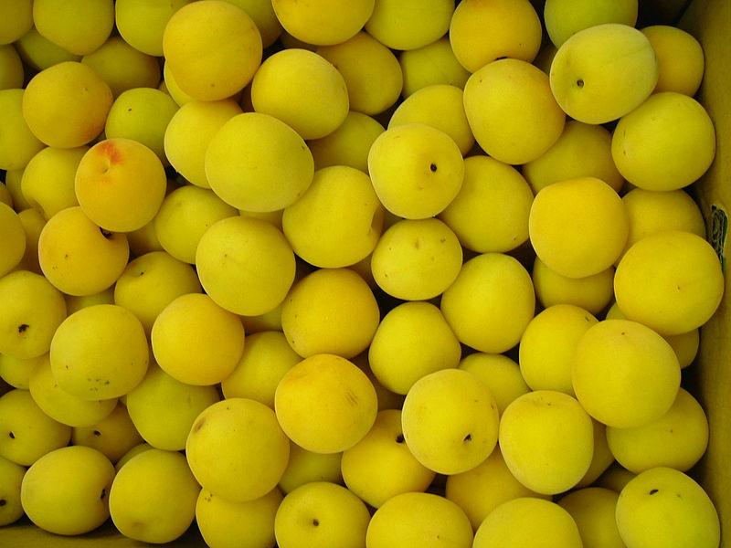 乌梅子酱李荣浩伴奏,乌梅子酱李荣浩歌曲