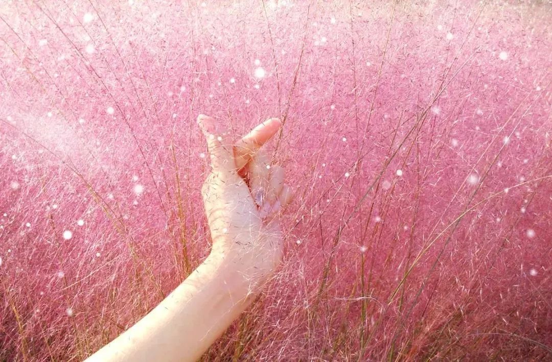 广州去广东第一峰旅游攻略,广州出发清远古龙峡两天攻略