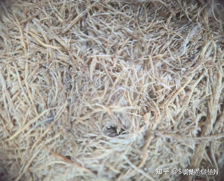 定制板材详细讲解,定制板材十大真相