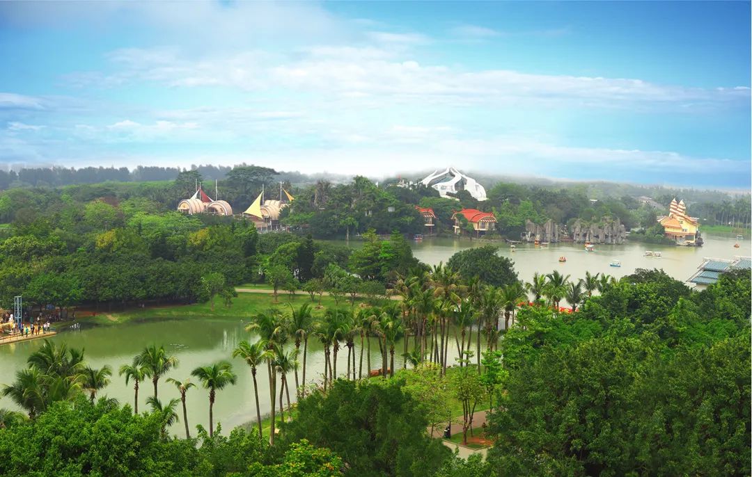 深圳最全红树林公园指南,深圳市最出名红树林湿地公园