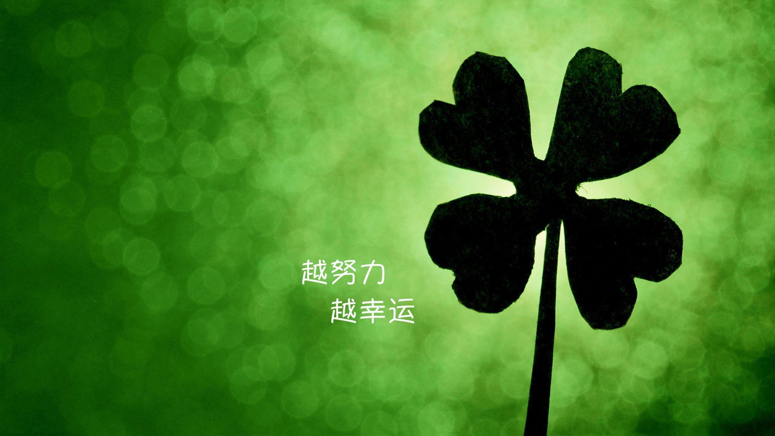 无基础宝妈学编程,12岁少年做编程月入过万