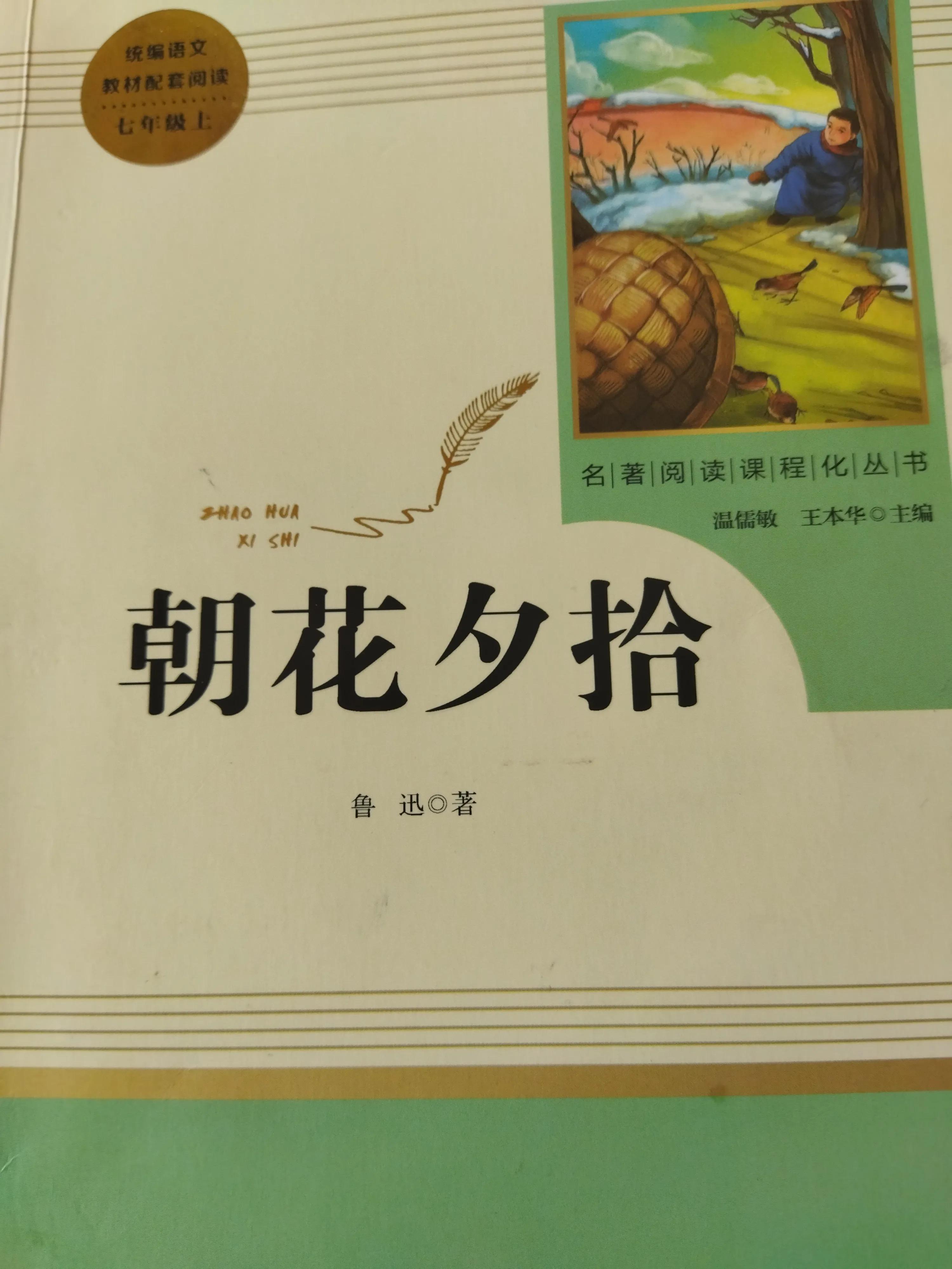 走进朝花夕拾手抄报内容,鲁迅走进朝花夕拾视频