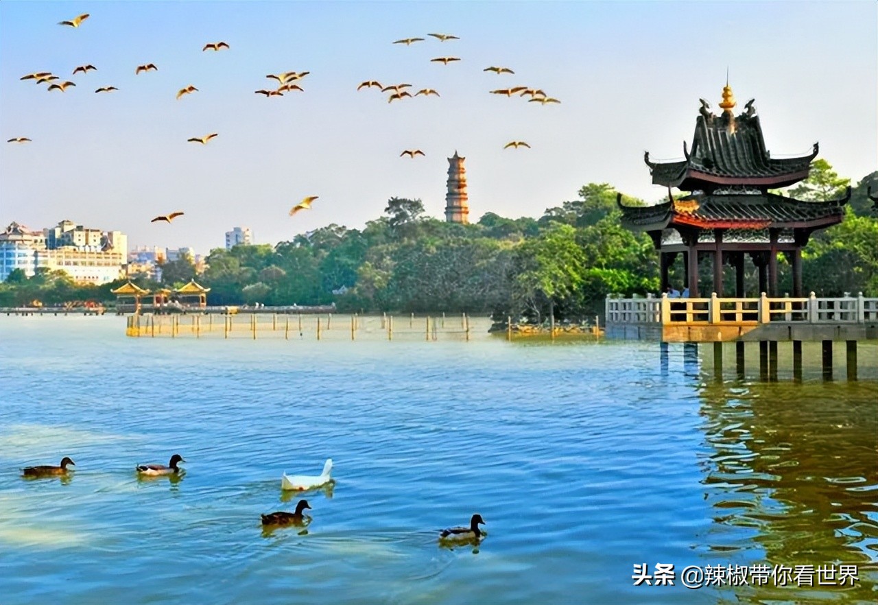 惠州市海岸线,惠州的海岸线