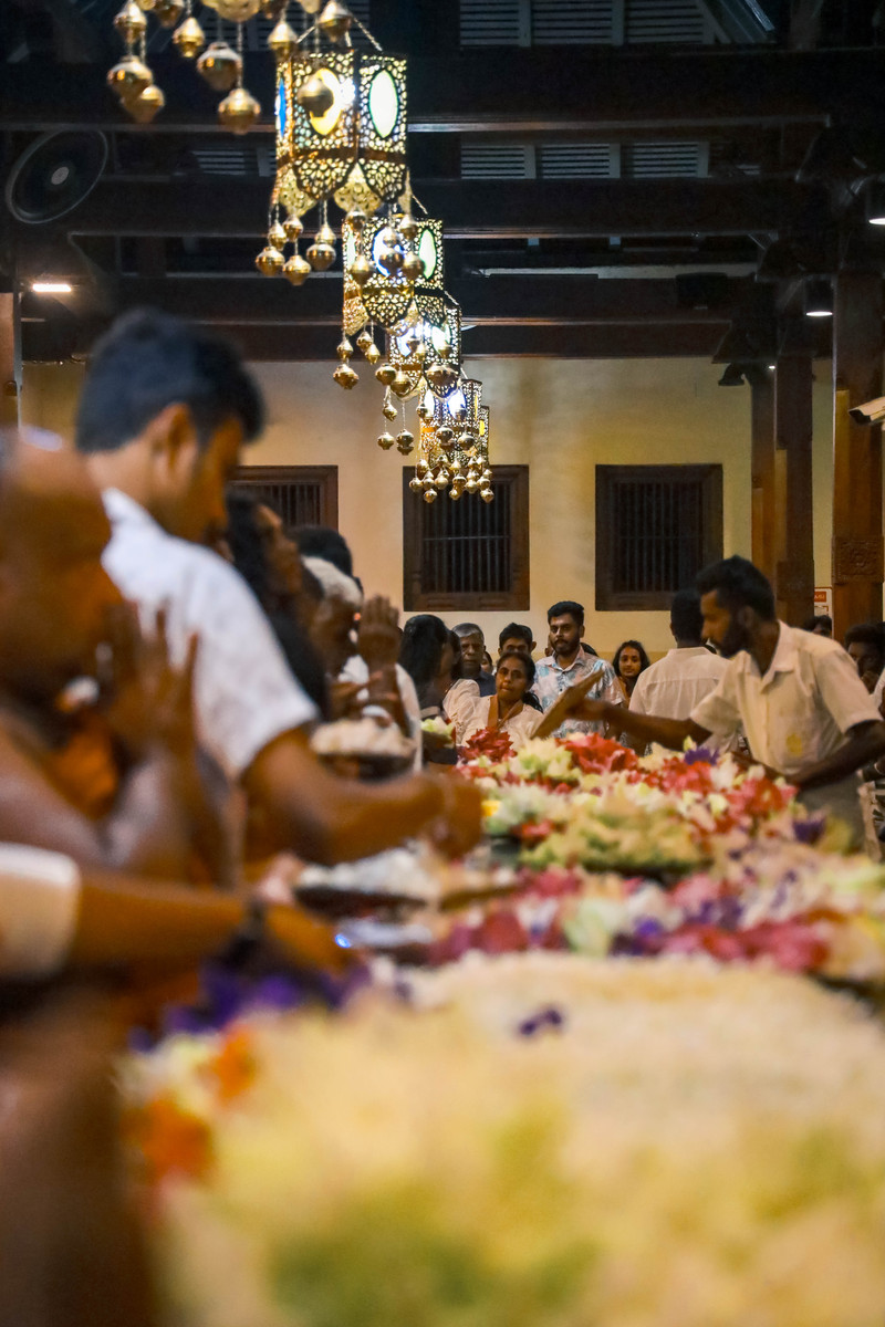 斯里兰卡旅游攻略必去景点,斯里兰卡最佳旅游攻略